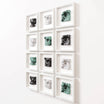 A grid of twelve modern sculptures displayed in individual white shadowbox frames, arranged in three rows of four. Each frame contains a three-dimensional fragment of classical-style faces and features, crafted in varying colors including white, black, and soft green. The sculptures emphasize intricate facial details, such as eyes, lips, and ears, blending contemporary and classical art styles against a clean, white wall.